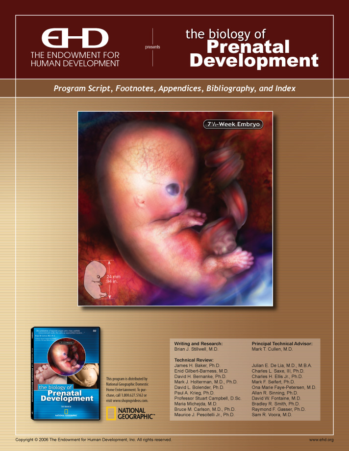 Documentación del DVD La biología del desarrollo prenatal