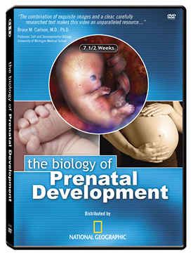 DVD La biología del desarrollo prenatal