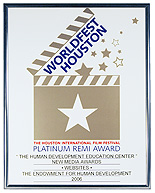 Premio Remi de Platino del WorldFest Houston al Sitio Web